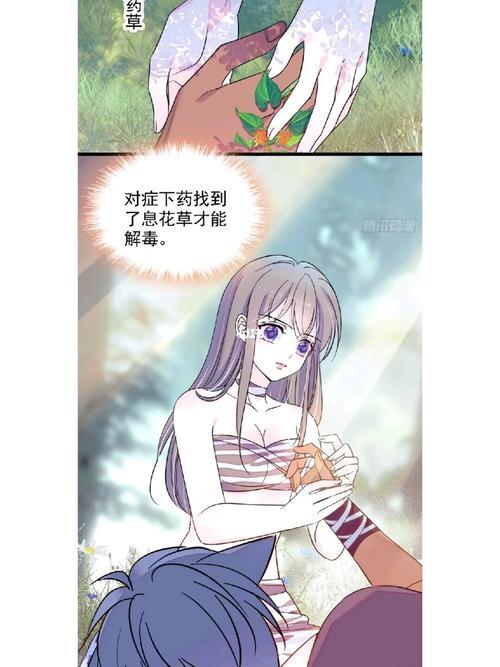 萌动兽世一共有多少集