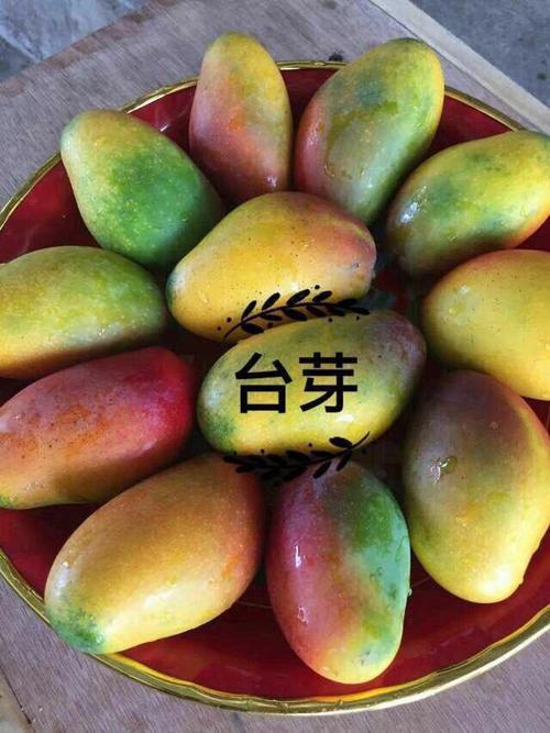 三亚哪种芒果最好吃