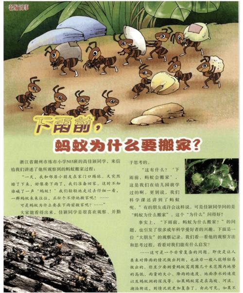 蚂蚁搬家怎么用