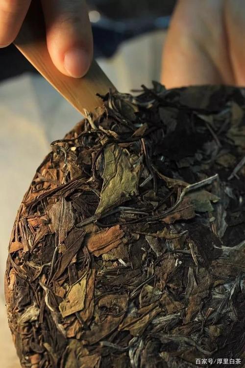 白茶的时间