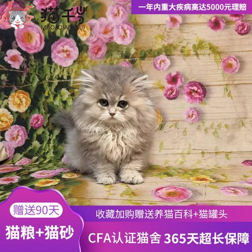 wcf猫舍注册入口