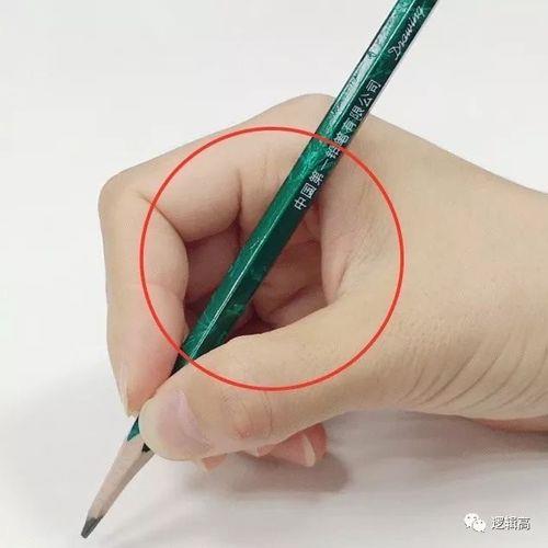 幼儿握笔姿势一步一步教学