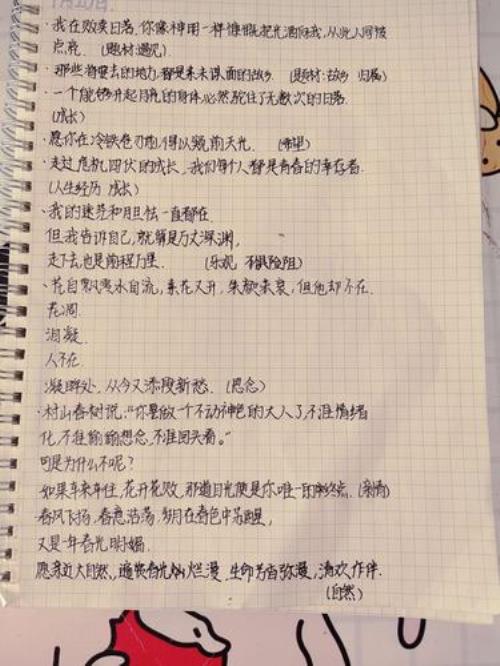 才写句子
