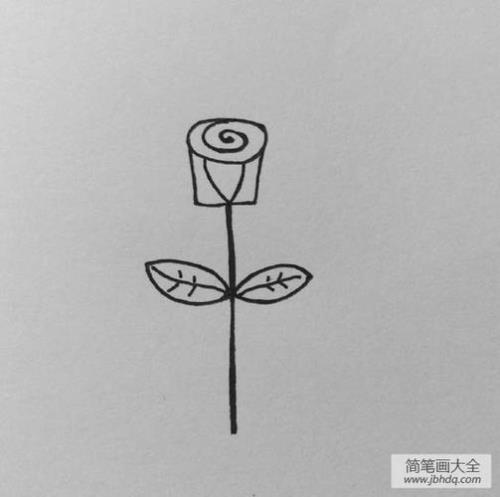 玫瑰花最简单的画法