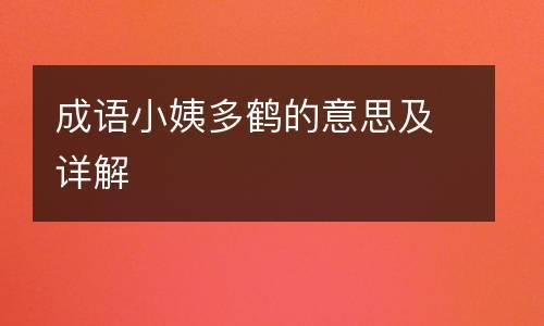 小姨是什么意思