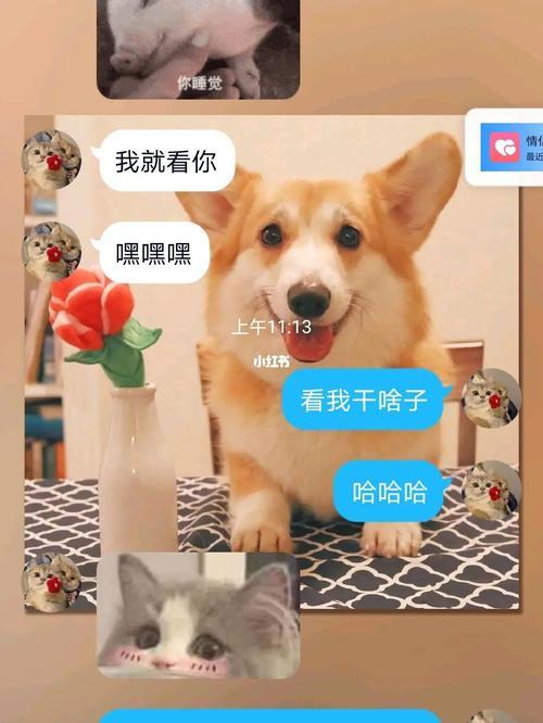男朋友说要好好聊聊怎么回复