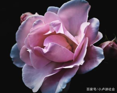 欣赏的意思