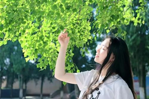 映景和应景一样吗