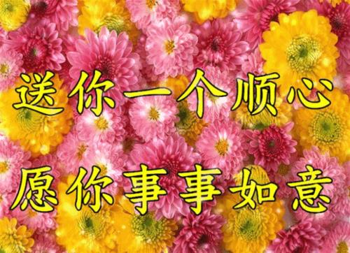 祝福才女的句子