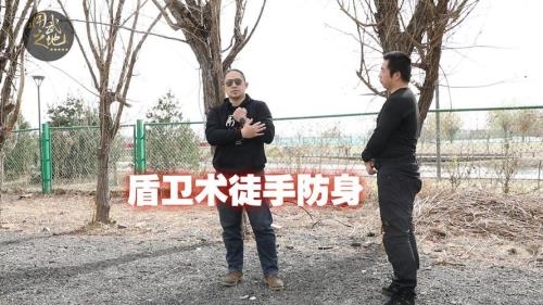 诗诗盾强度怎么样