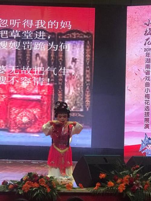 小姑贤花鼓戏原唱