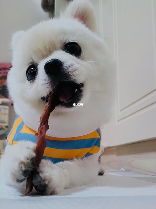 小吃货一枚是什么意思