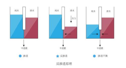 膜浓缩的基本原理和优缺点