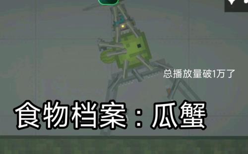 蟹瓜什么时候解节