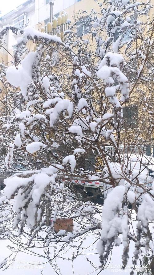 一场大雪的读音