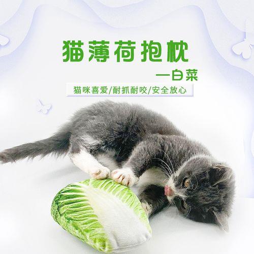 猫可以吃白菜吗,熟的