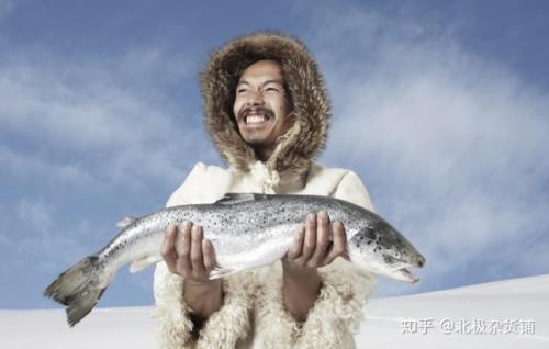 因纽特人的天敌