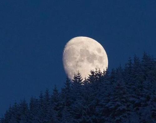 你是我的月亮是什么意思