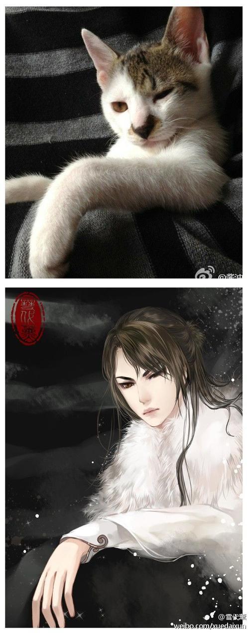 古风的猫咪画法