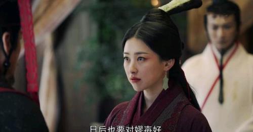 嬴傒的生母