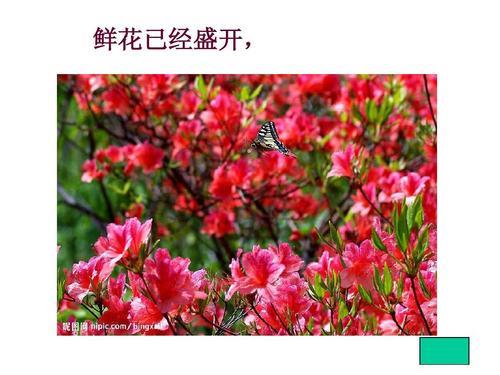 祖国多么广大描写的是什么季节