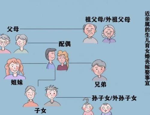 直系血亲包括哪些人