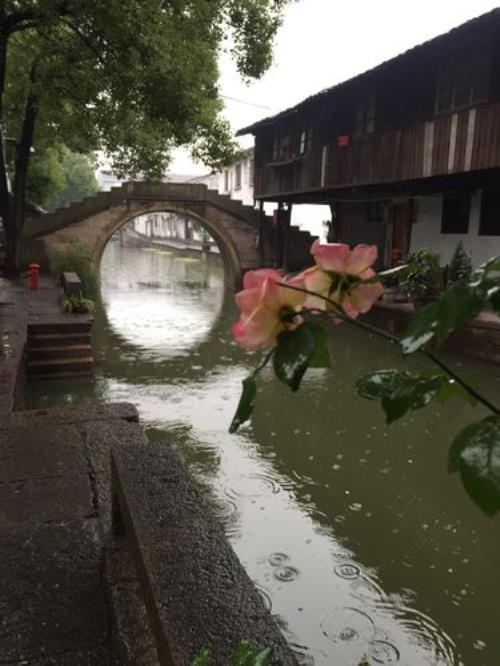 下几滴毛毛雨怕什么造句