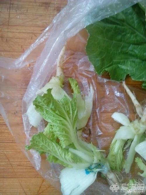 绿色蔬菜上放的蓝色粉末是什么