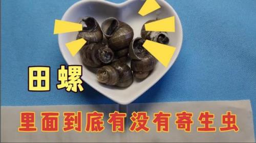 螺蛳有没有寄生虫的