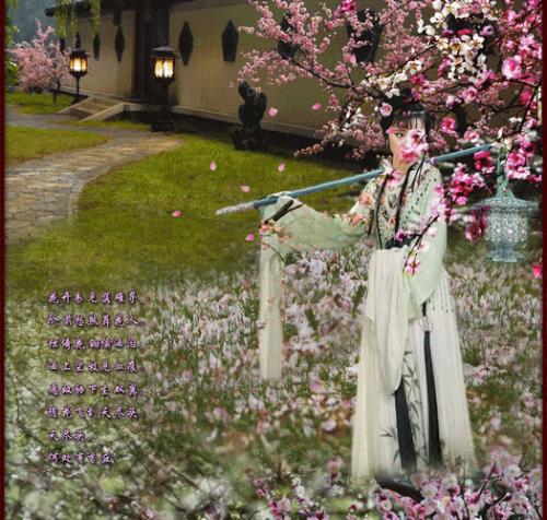 黛玉葬花歇后语