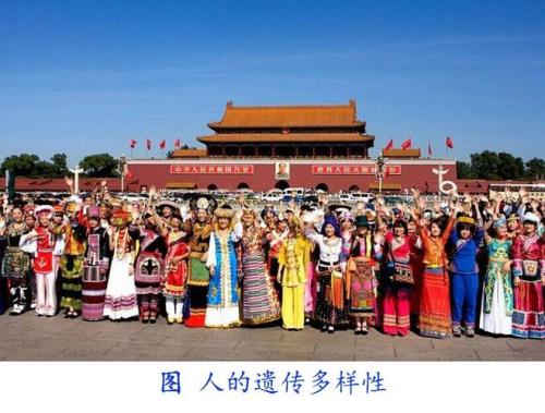 性状多样性是什么