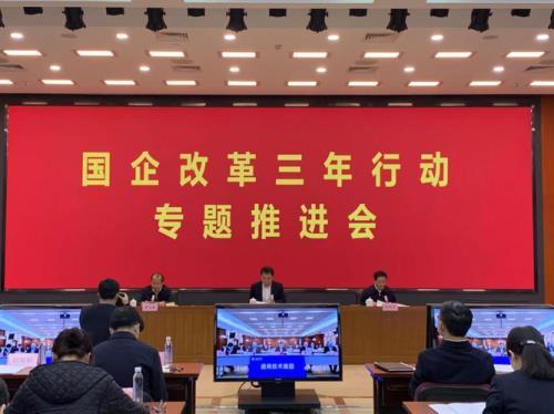 正向引领激励行动方案