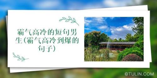 形容男生高冷又带着凶的句子