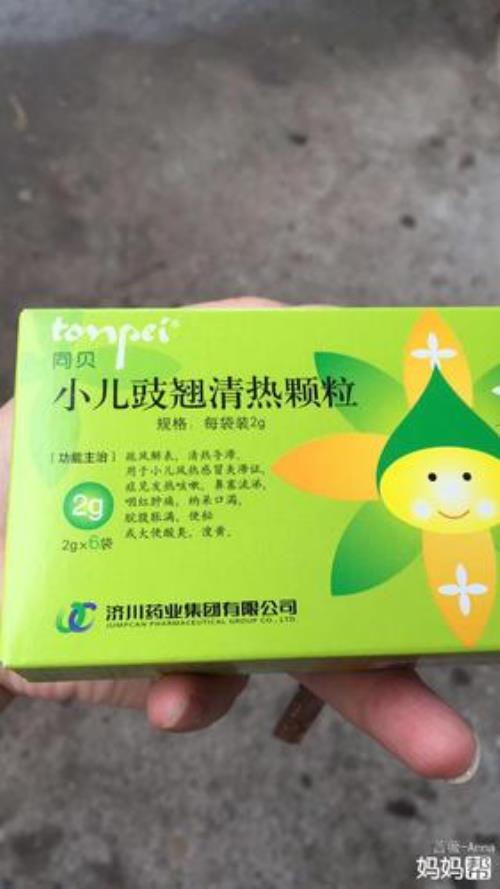 豉翘长什么样子