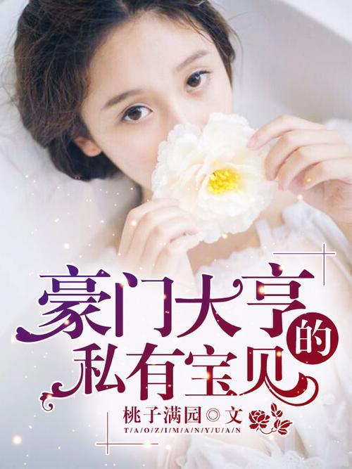 主角是林傲雷丁哲的小说
