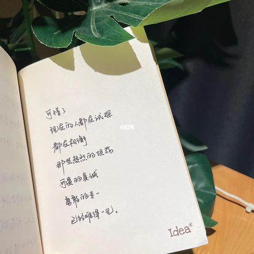 热烈而坚定,真诚而温柔什么意思