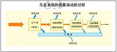 电车能量流动什么意思