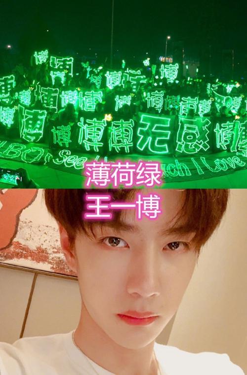 肖战的应援色是什么颜色