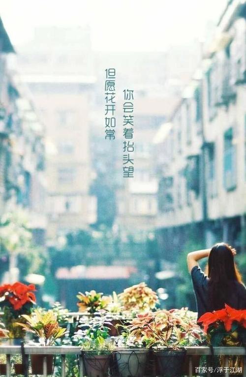 过后千帆终见晴意思