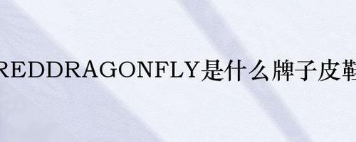 fly是什么意思中文