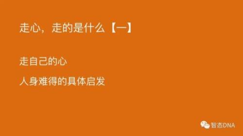 走心走肾是什么意思