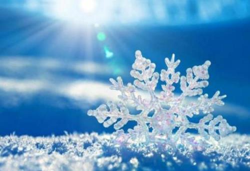关于雪的佳句