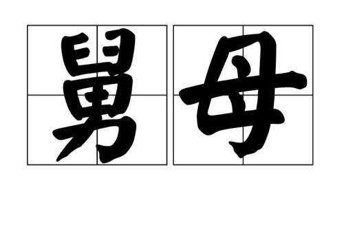 童年描写舅母的句子