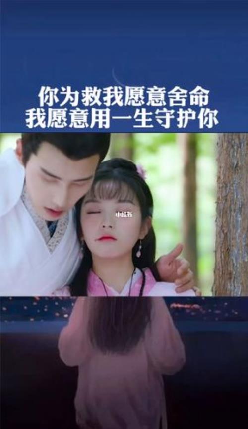 我用一生守护你原唱