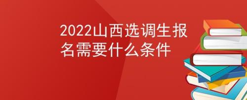 山西省选调报名流程
