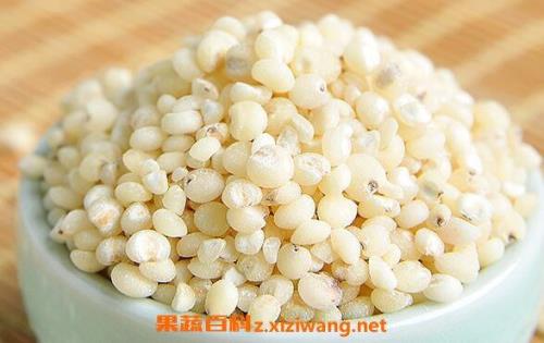 高粱粉怎么吃