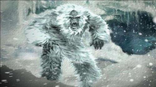 雪怪真实存在吗