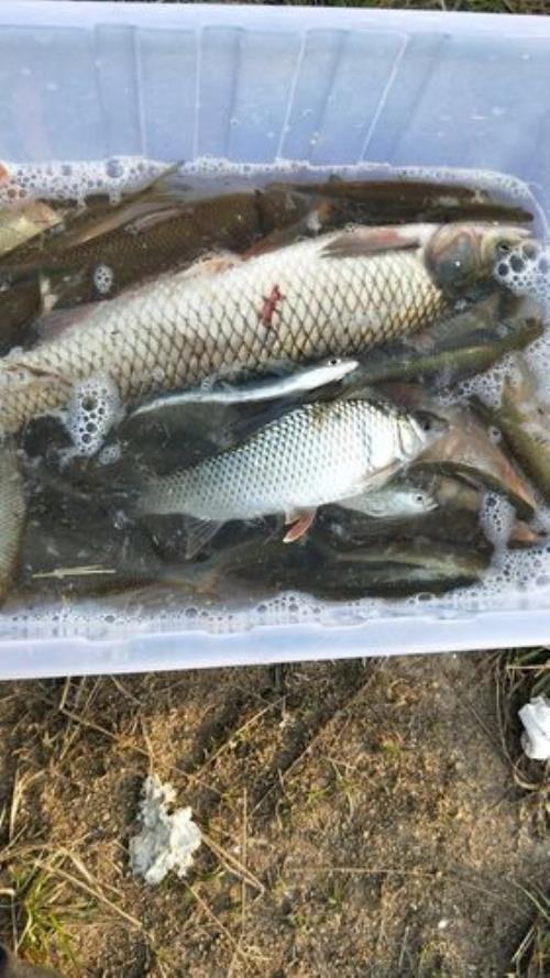 抛竿水库钓鲮鱼最佳时间