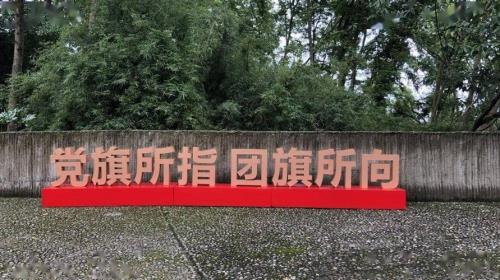坚定不移各有抱负是什么意思