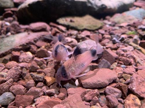 养定水是什么意思